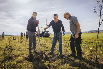 Erste Agroforst-Pflanzung im Rahmen des EU-Projekts „SOIL:OurInvisibleAlly“ in Unterdießen erfolgreich umgesetzt