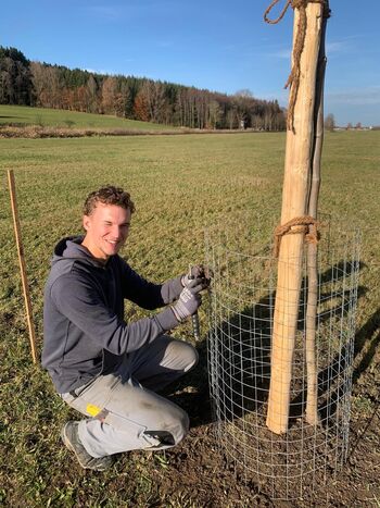 Pflanzung bei Gerhard Linder in Fuchstal 2025