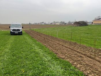 Pflanzung bei Bio-Bauer Eisele in Scheuring Frühjahr 2026