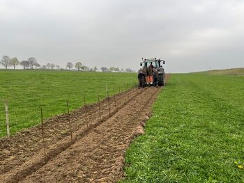 Pflanzung bei Bio-Bauer Eisele in Scheuring Frühjahr 2026