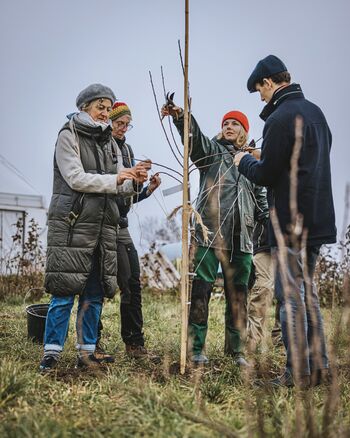Pflanzung bei der Seelawi Schondorf 2025