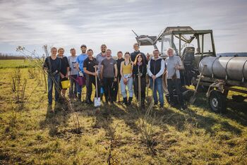 Erste Agroforst-Pflanzung im Rahmen des EU-Projekts „SOIL:OurInvisibleAlly“ in Unterdießen erfolgreich umgesetzt